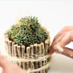 DIY, tworzenie doniczki z brzozowych patyczków